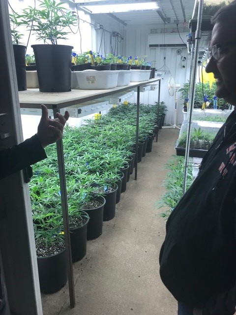 weed farm in colorado cle event