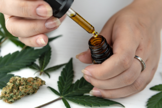 The young person hold in his hand cannabis oil. Marijuana buds and leaves. Cannabis is a concept of herbal medicine. Legalization all over the world